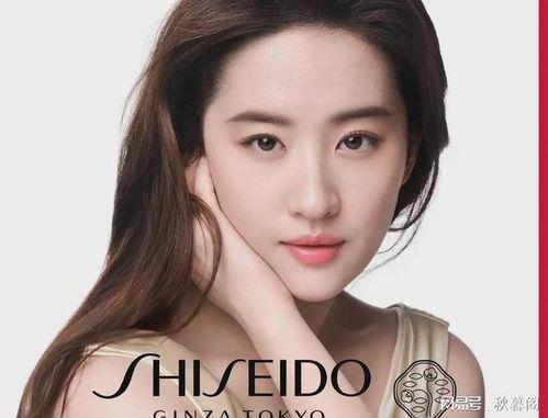 明星排名大全,揭秘娱乐圈风云变幻，盘点年度璀璨星辉