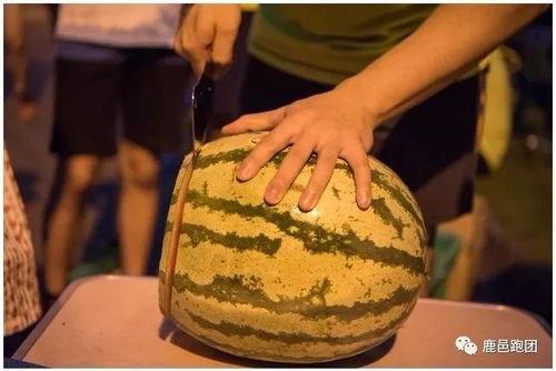 吃瓜每日大赛,年度热门事件盘点，揭秘娱乐圈幕后真相